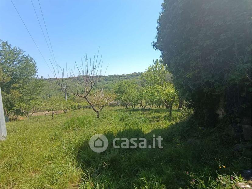 Villa in Via Torre Alfieri — foto 19 di 29