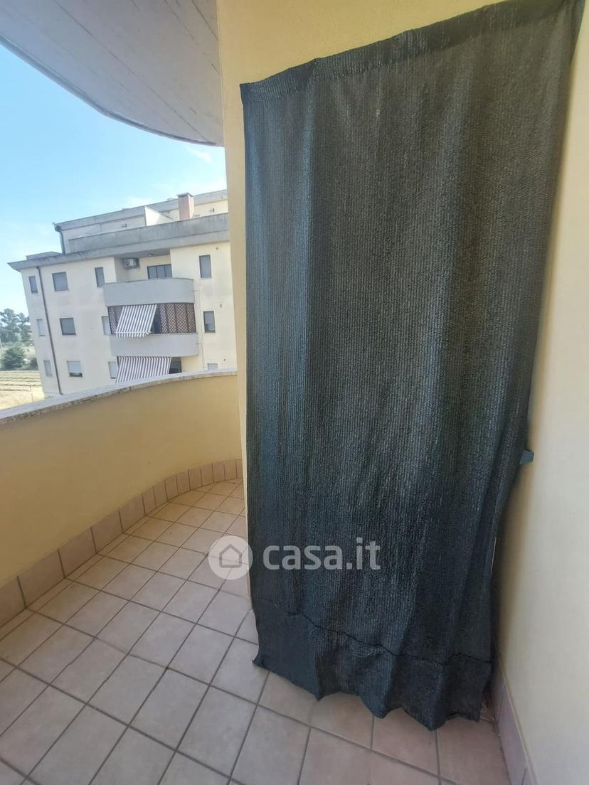 Bilocale in Via Cursori della Palude — foto 3 di 25