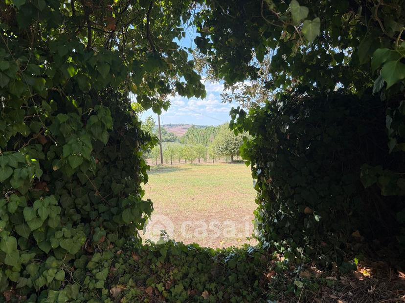 Villa in Strada Provinciale di Monteaperti — foto 54 di 54