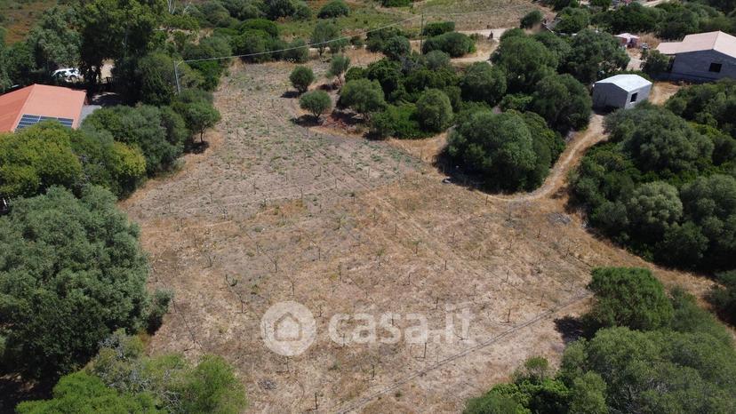 Villa in Strada La Littichedda — foto 9 di 17