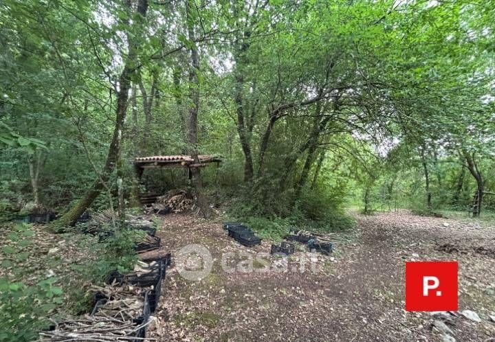 Villa in Via Scese Lunghe — foto 35 di 44