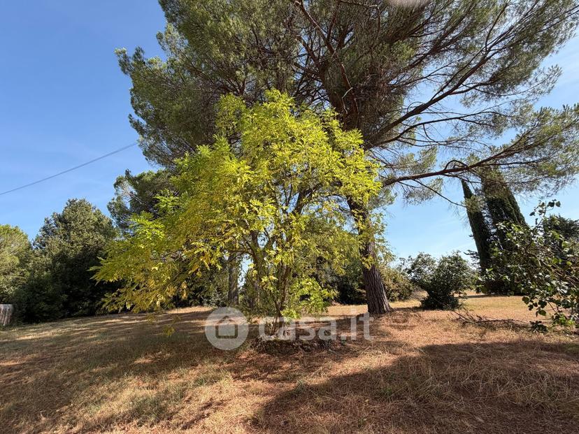 Villa in Strada Provinciale di Monteaperti — foto 14 di 54