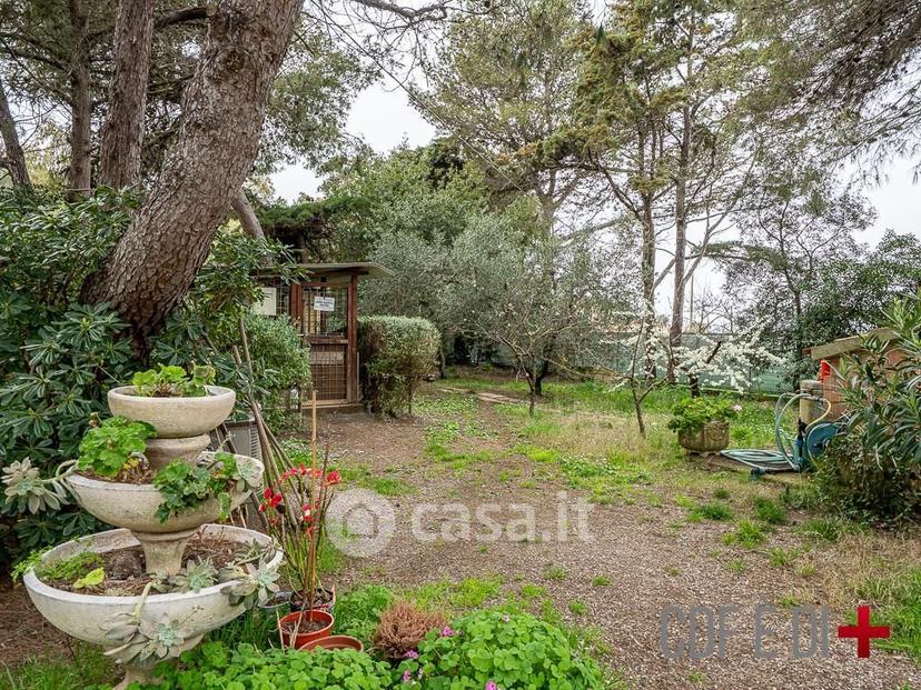 Villa in Località Perelli — foto 13 di 51