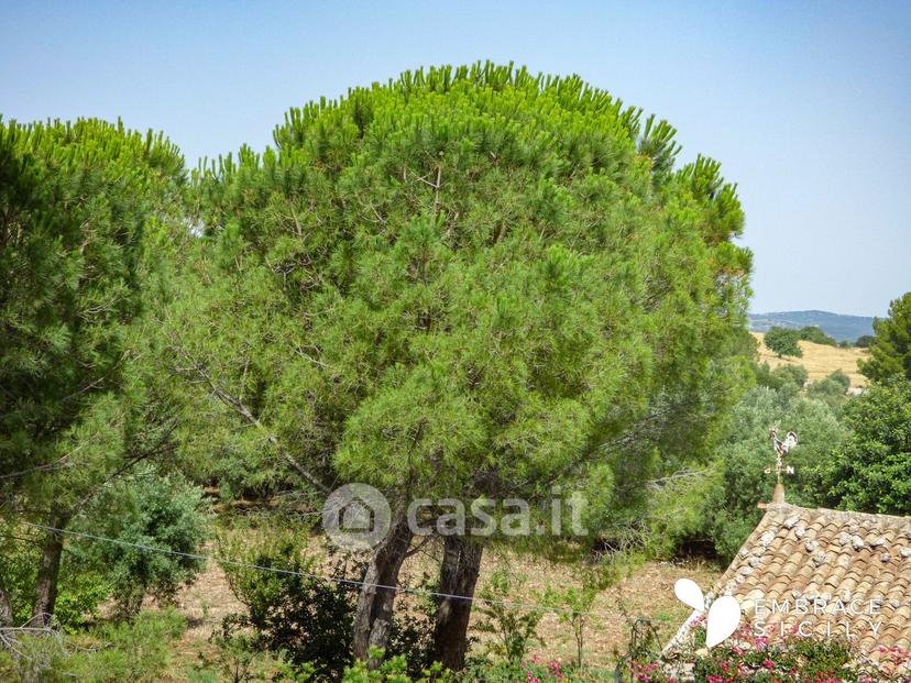 Villa in Villa Bibbia — foto 34 di 39