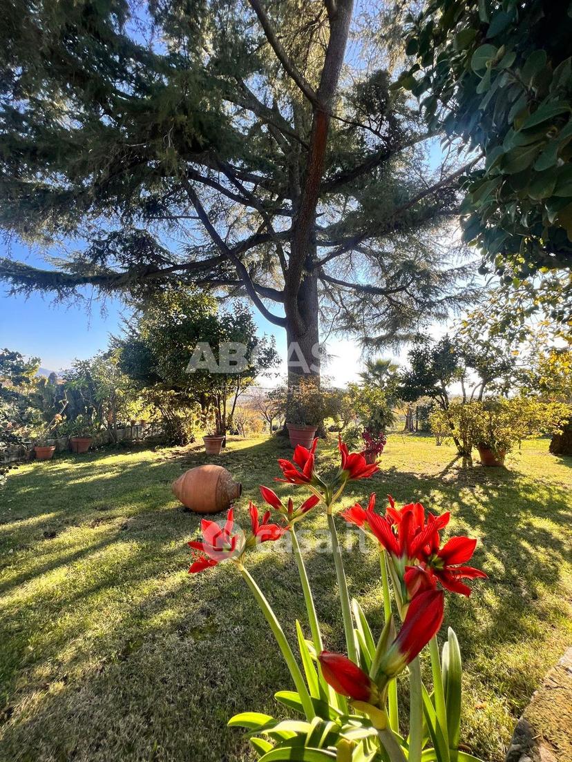 Villa in Via del Mandorlo — foto 26 di 50