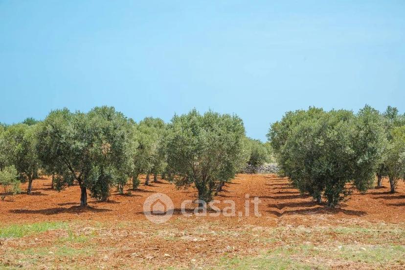 Villa in Contrada Sierri — foto 38 di 83