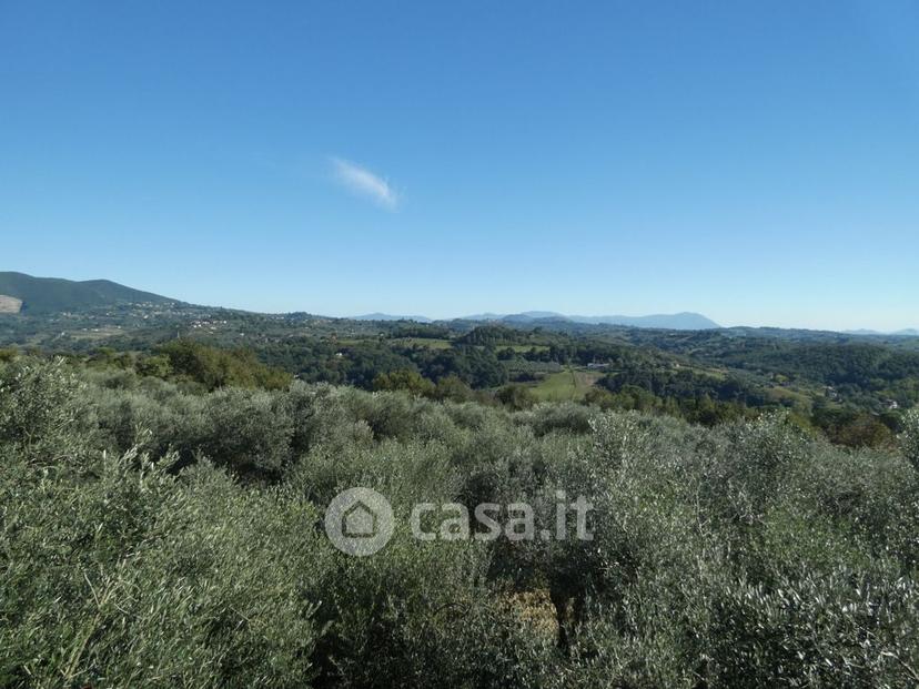 Villa in Strada Regionale 313 — foto 25 di 40