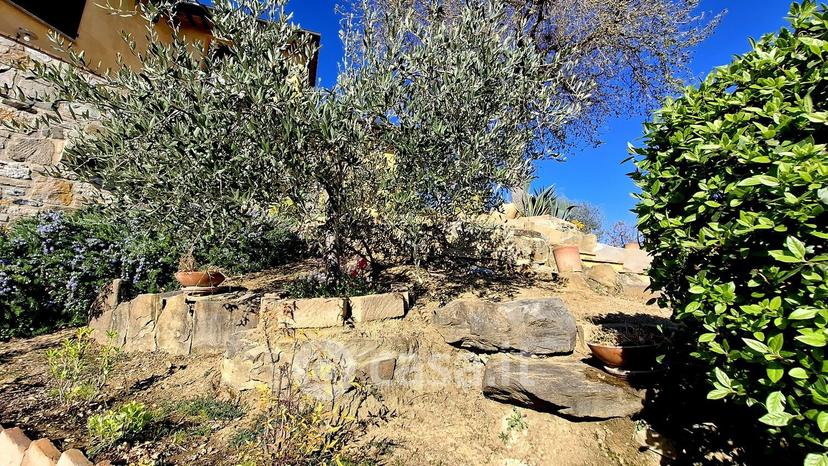 Villa in Via della Rondolina — foto 32 di 67