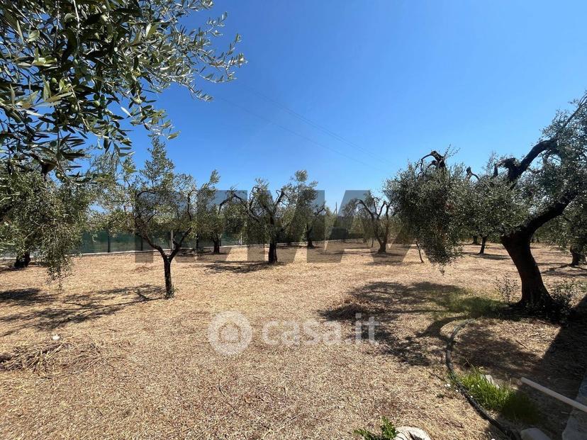 Villa in Località Spacco 1 — foto 27 di 31