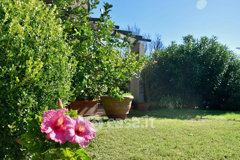 Bilocale in Località Torre Nuova 2 — foto 22 di 27
