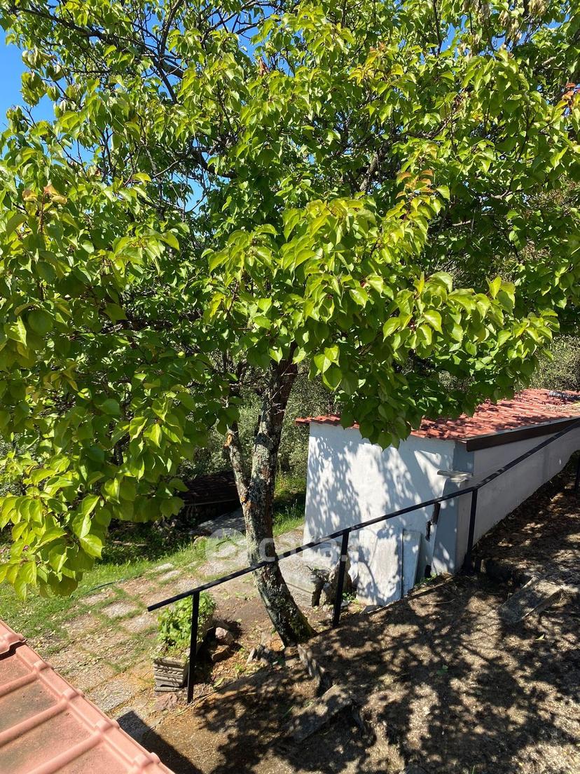 Villa in Via Fratelli Aristide E Alduino Castellini 8 — foto 32 di 49