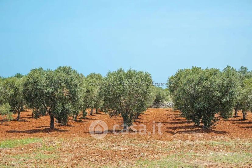 Villa in Contrada Sierri — foto 44 di 83