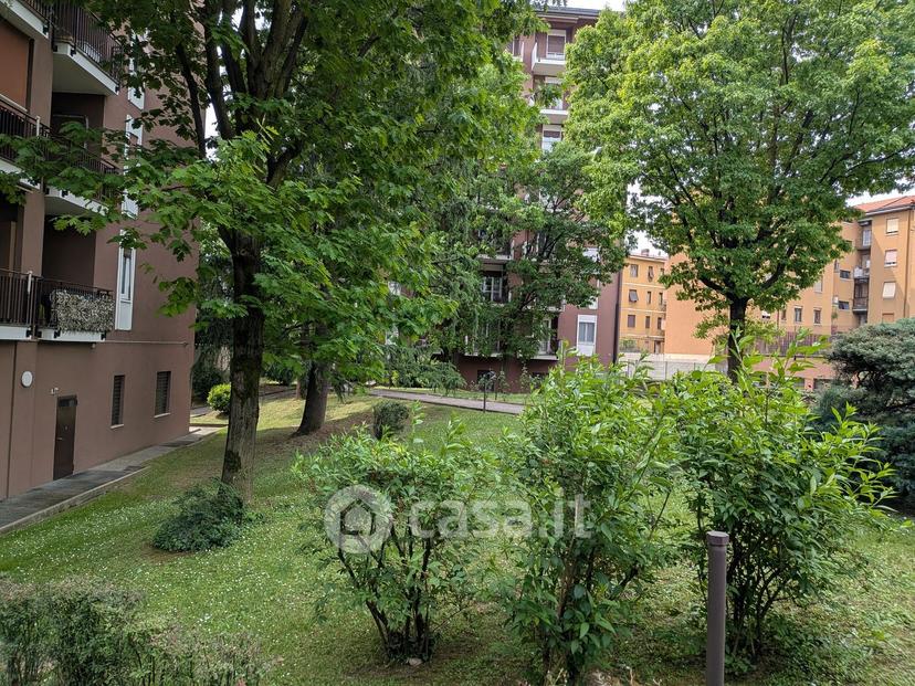 Trilocale in Via Carlo Amati 58 — foto 31 di 52