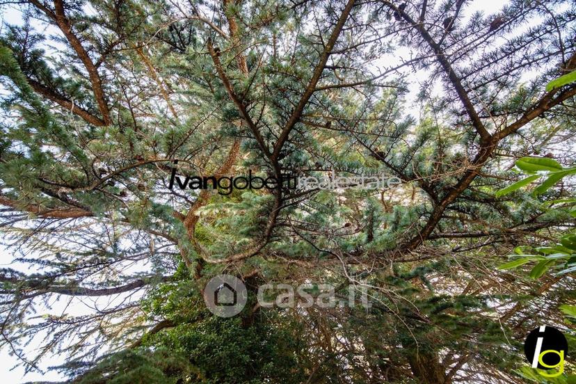 Villa in Viale Mottino 17 — foto 94 di 116