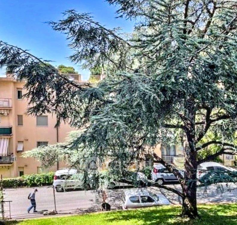 Trilocale in Via Luigi Rizzo — foto 17 di 40
