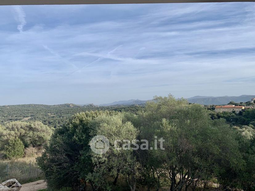 Villa in Via Satta — foto 39 di 42