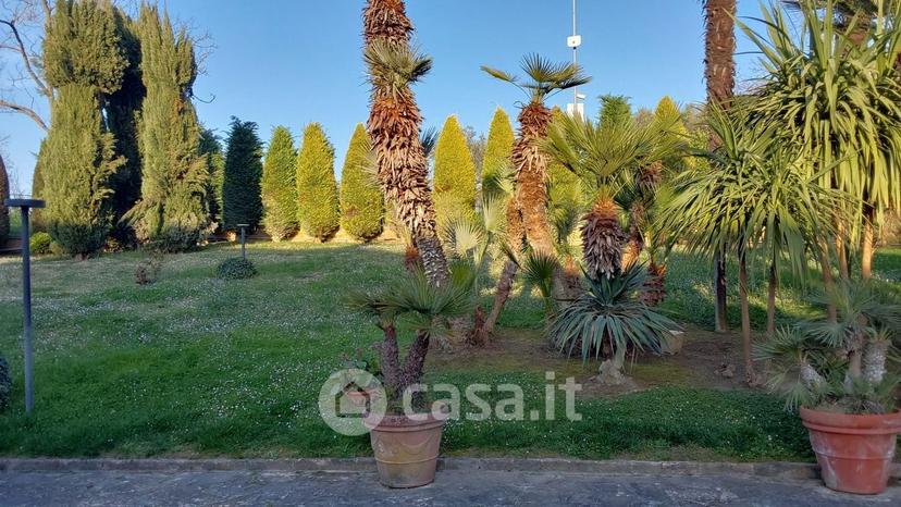 Villa in Località Uvaiolo — foto 19 di 66