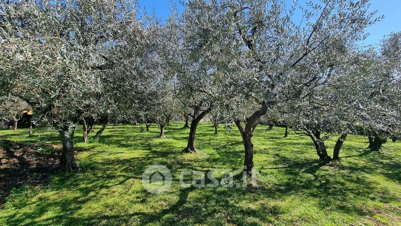 Villa in Via dei Maionchi 11 — foto 7 di 55