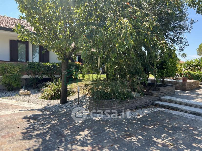 Villa in Strada Provinciale San Donà di Piave Torre di Fine — foto 23 di 39