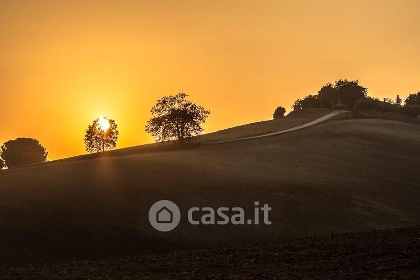 Villa in Località Rinaldi — foto 41 di 65