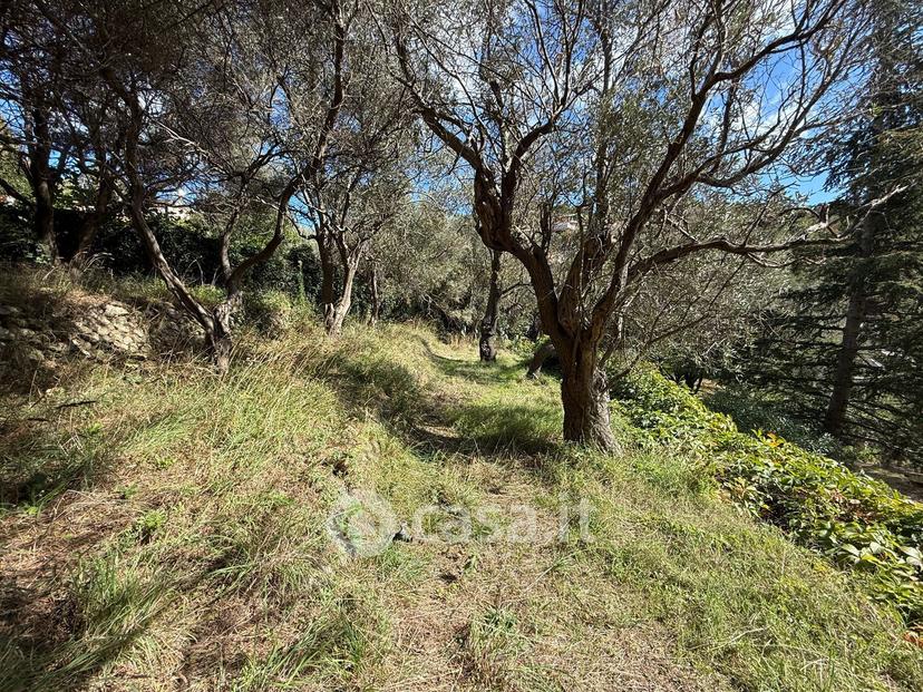 Villa in Località Marotta 47 — foto 20 di 37