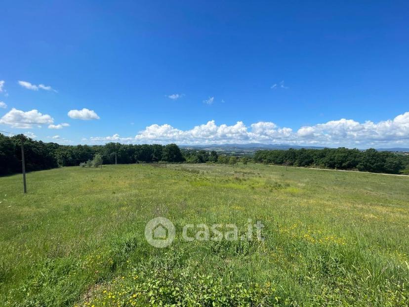Villa in Vocabolo Aussa — foto 37 di 37