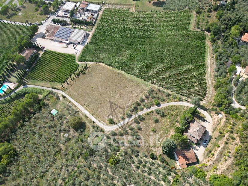 Villa in Via degli Ulivi — foto 13 di 20
