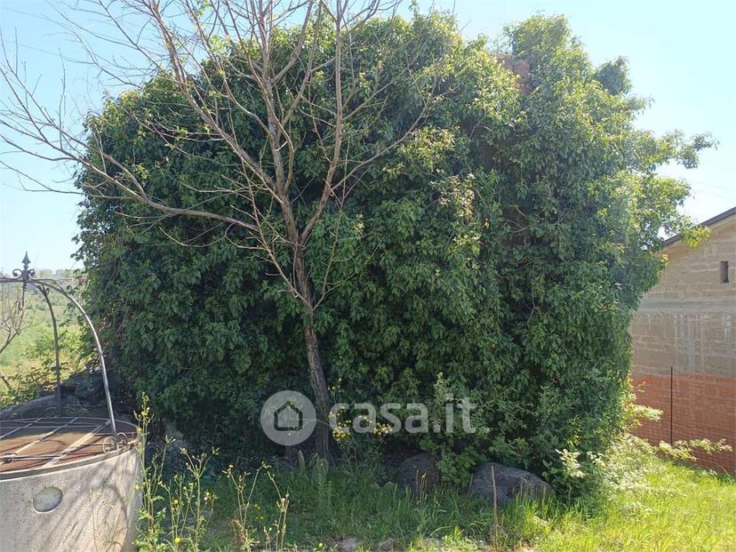 Villa in Via Torre Alfieri — foto 9 di 29