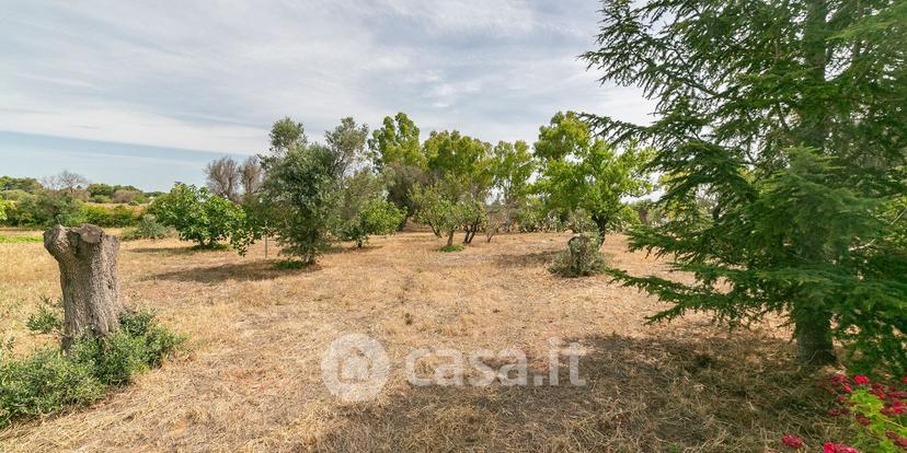 Villa in Strada Comunale Brindisi 6 — foto 8 di 54