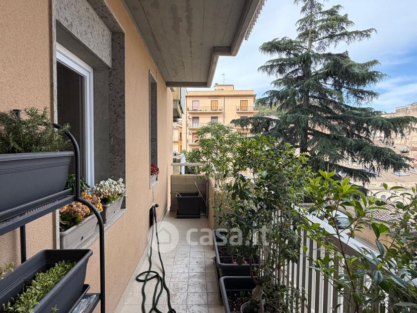 Quadrilocale in Via Messina 54 — foto 3 di 25