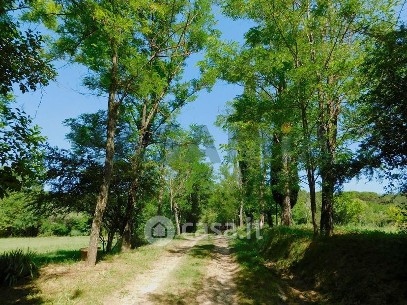Villa in Località Frosini — foto 6 di 29