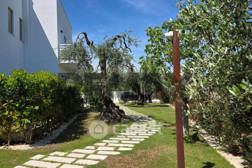 Monolocale in Contrada Pilone del Monaco 20 — foto 2 di 31