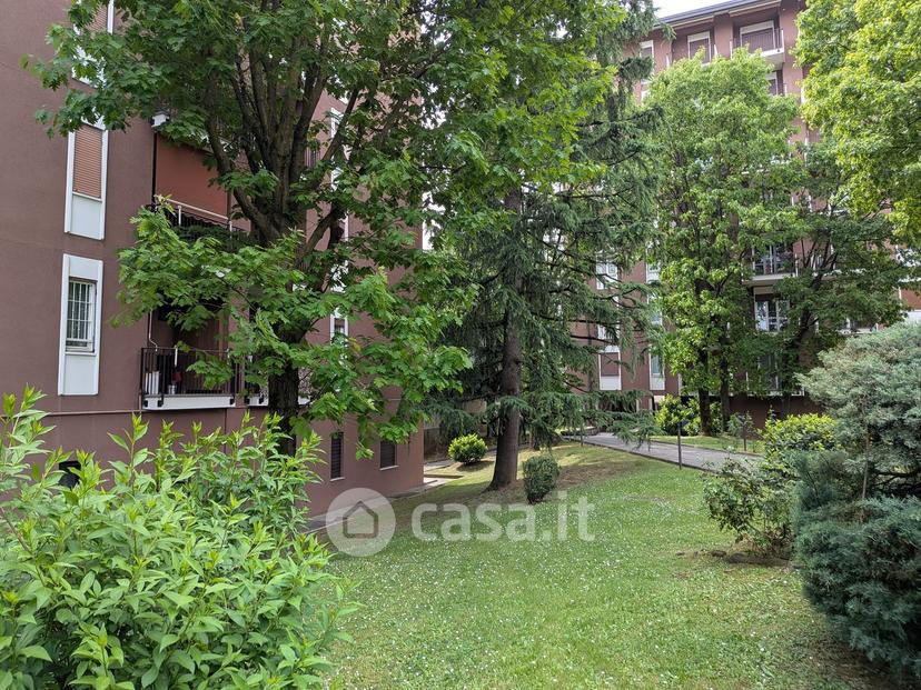 Trilocale in Via Carlo Amati 58 — foto 18 di 52