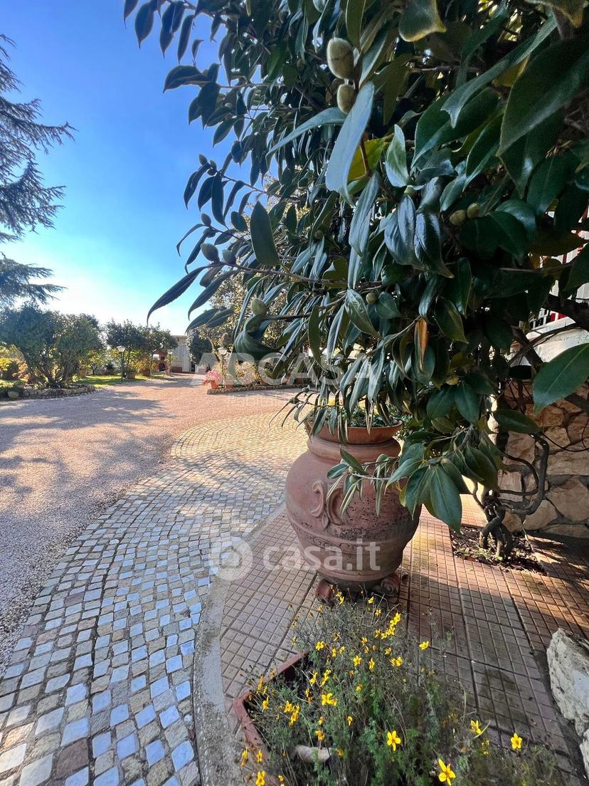 Villa in Via del Mandorlo — foto 9 di 50