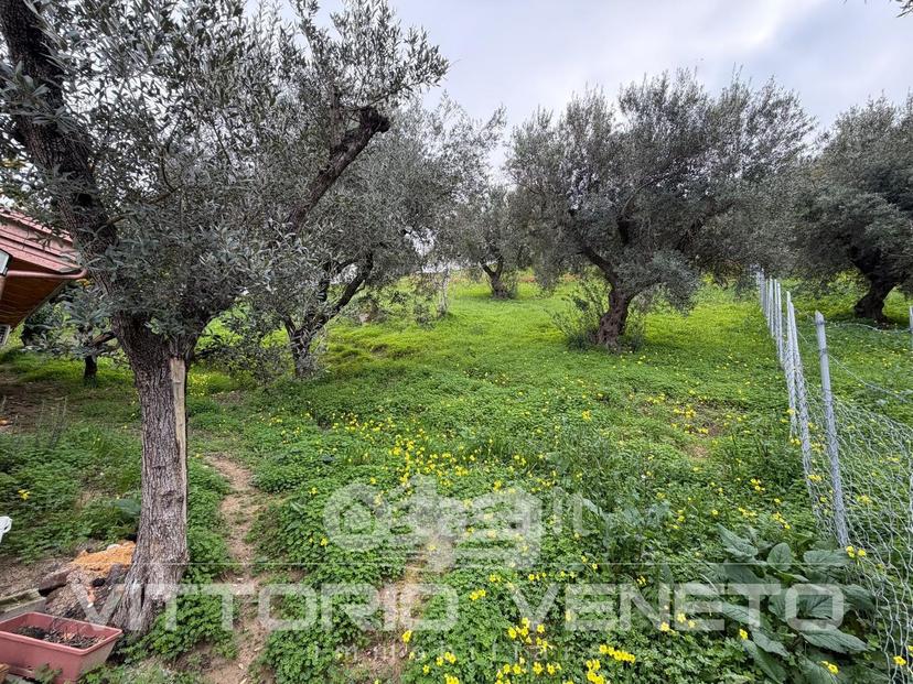 Appartamento in Via Difesa 132 — foto 25 di 75