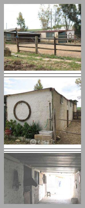 Villa in Viale Regina Margherita — foto 7 di 32