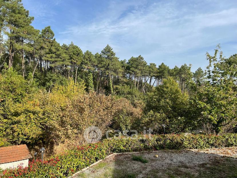 Villa in Via Ugolino da Montecatini — foto 23 di 35