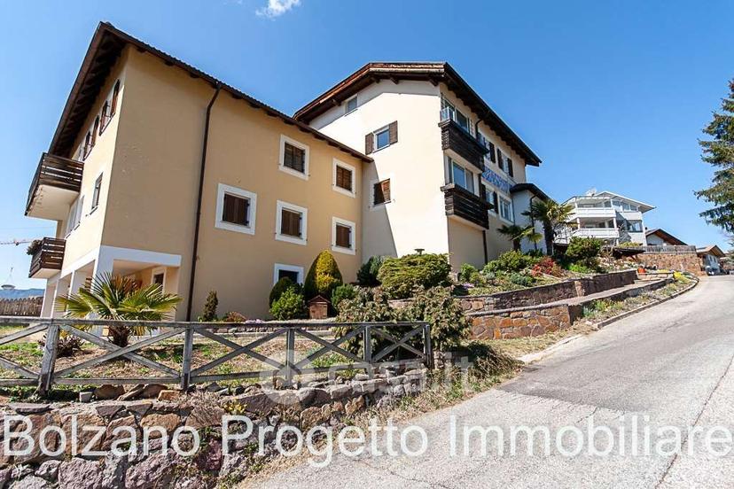 Appartamento in Via Weingartner — foto 17 di 37