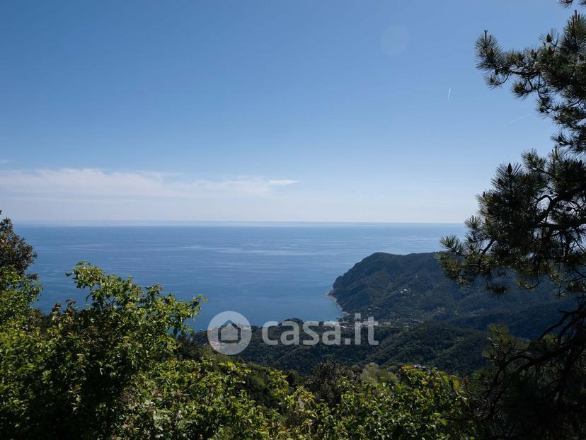 Trilocale in Monte Albereto — foto 38 di 38