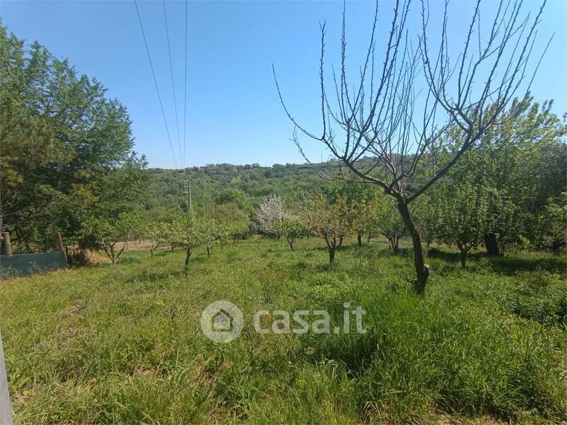 Villa in Via Torre Alfieri — foto 28 di 29
