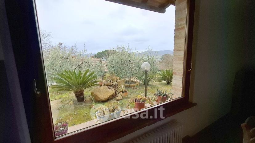 Villa in Via della Rondolina — foto 8 di 67