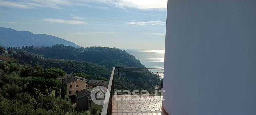 Appartamento in Via Pianelloni 17 — foto 18 di 39