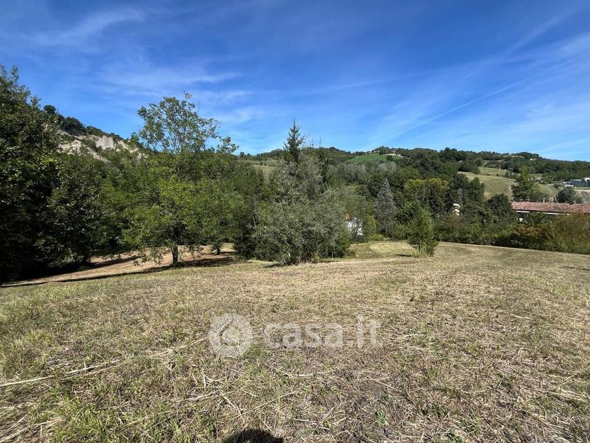 Villa in Via Zena — foto 41 di 66