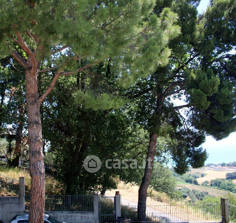 Quadrilocale in Via Aristide Bernardini — foto 31 di 39