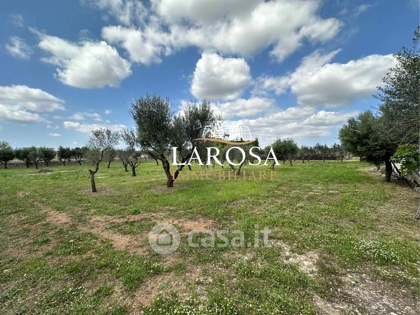 Villa in Via Pagano 7 — foto 51 di 63