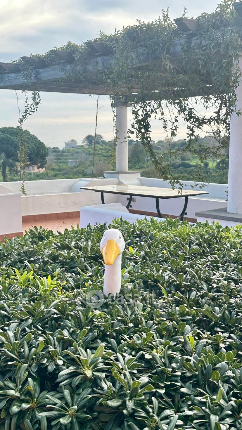 Villa in Via Brinzio 20 — foto 33 di 36