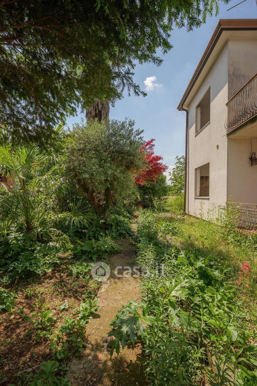 Villa in Via dei Cedri 22 — foto 11 di 37