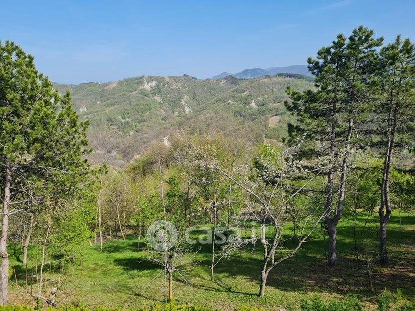 Villa in Frazione Zuccarello — foto 47 di 47