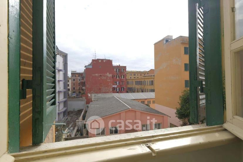 Stanza in Via degli Apuli — foto 30 di 51