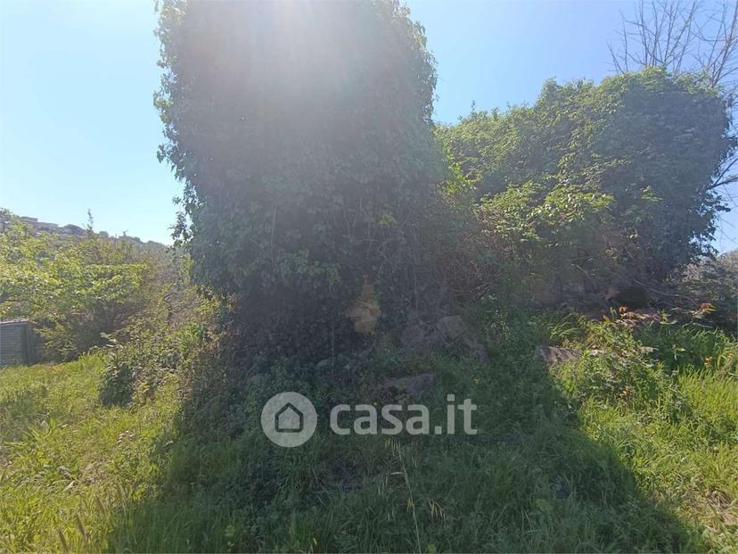 Villa in Via Torre Alfieri — foto 10 di 29